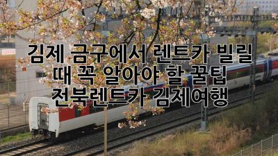 🚗 김제 금구에서 렌트카 빌릴 때 꼭 알아야 할 꿀팁! #전북렌트카 #김제여행 🚗