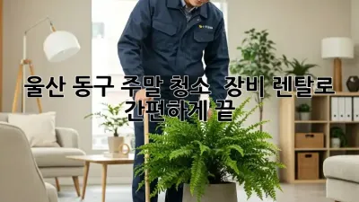 울산 동구 주말 청소 🧹 장비 렌탈로 ✨ 간편하게 끝!