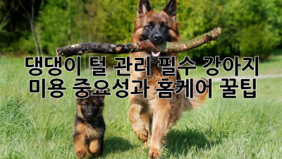 🐶 댕댕이 털 관리 필수! 강아지 미용 중요성과 홈케어 꿀팁 ✂️